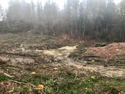 Die Bäume sind gefällt, das zu sanierende Deponiegelände freigestellt. Die Raupen des Baggers haben sichtbare Rillen ins durchnässte Erdreich gezeichnet, während die Schaufel zutage gefördert hat, was hier über Jahrzehnte entsorgt worden ist: Müll.
