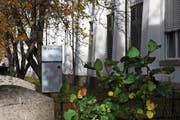 Die Investitionskosten für das Psychiatriezentrum halten sich bei den Varianten Tiefriet Sargans und Ausbau in Trübbach in etwa die Waage, sagt der CEO der St. Gallischen Psychiatrie-Dienste Süd. (Bild: Robert Kucera)