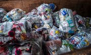 Nach Erfolgen im Thurgau gibt es ihn bald auch in der A-Region: den Kunststoff-Sammelsack Kuh-Bag. (Bild: Andrea Stalder)