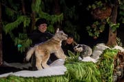 Marianne Hofer (links) und Regula Auf der Maur führen das Stück «De wissi Wolf» auf.Bild: Nadia Schärli (Luzern, 4. Dezember 2018)