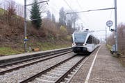 Ausflügler an den Gübsensee können ab Sonntag nicht mehr die S-Bahn nehmen. Die Züge halten dort während mindestens zwei Jahren nicht mehr. (Bild: Thomas Hary/5. Dezember 2018)