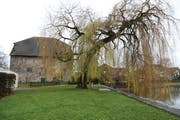 Hier wird die Bühne stehen: Auch das Gredhaus und die Weide dienen als Kulisse. (Bild: Jolanda Riedener)