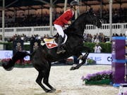 Steve Guerdat und Alamo sind ein erfolgreiches Paar (Bild: KEYSTONE/EPA/JIM HOLLANDER)