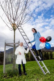 Baltische Lockerheit: Mirjam Loertscher und Maret Bader-Kukk (links) von der Estnischen Gesellschaft der Schweiz bei der Montage der gespendeten Nisthilfen. (Bild: Philipp Schmidli, Kastanienbaum, 8. Dezember 2018)