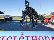 Telethon: Bei einer Sammelaktion für einen guten Zweck sind am Wochenende rund 2,1 Millionen Franken zusammengekommen. (Bild: KEYSTONE/ALINE STAUB)