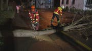 Im Kanton Thurgau sind in der Nacht auf Sonntag mehrere Bäume umgestürzt. (Bild: BRK News)