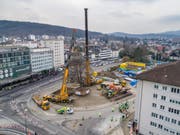 Die Rotbuche wird um rund 170 Meter versetzt. (Bild: PD / Bürobureau)