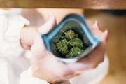 Künftig steht der Besitz von unter 10 Gramm Cannabis im Kanton Zug nicht mehr unter Strafe. (Symbolbild: Christian Beutler/Keystone)