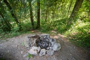 Derzeit verboten: Grillieren im Wald beim Stanserhorn. (Bild: Keystone / Urs Flüeler)