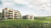 Die Visualisierung zeigt das Siegerprojekt der Amrein Herzig Architekten GmbH aus Baar. (Bild: PD)