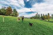 Im Frühling eröffnet auf der Tribschenhornwiese unterhalb des Wagner-Museums die dritte Hunde-Freilaufzone der Stadt Luzern. Dort dürfen Hunde ohne Leine herumtollen. (Bild: Roger Grütter (Luzern, 28. September 2017))