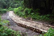 So sieht der neue Weg am Höchberg im Eigenthal aus. (Bild: Pro Pilatus / Alois Häcki)