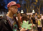 Jetzt ist in Uruguay auch der Verkauf von Marihuana legal, wie es Demonstranten neulich forderten. (Bild: Miguel Rojo/AFP (Montevideo, 5. Mai 2017))