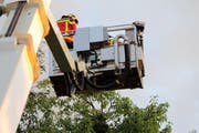 Mit dem sogenannten Hubrettungsfahrzeug gelangt die Feuerwehr zur Krone des Baumes. (Bild: pd)