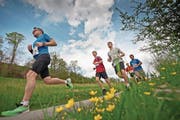Mit dem Rotseelauf in Ebikon (Bild) startet morgen Samstag die Saison der Strassenläufe. Das nächste Highlight ist der Luzerner Stadtlauf, der Ende April (29.) auf dem Programm steht. (Bild: Pius Amrein (Ebikon, 12. April 2014))