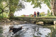 Am Tribschenhorn will die Stadt Luzern eine Freilaufzone für Hunde einrichten. (Bild: Roger Gruetter (Luzern, 28. September 2017))