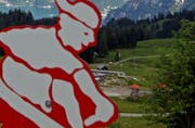 Auf das Rodelbahn-Vergnügen in der Fräkmüntegg müssen Besucher vorerst verzichten: Die Rodelbahn bleibt bis auf Weiteres geschlossen. (Symbolbild / Philipp Schmidli / Neue LZ)