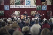 16. Spring Bluegrass Festival Willisau im Jahr 2015. (Bild: Pius Amrein/ Archiv)