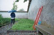 Die Treppe an der Klostermauer erinnert an die Fluchtversuche zu Zeiten des Kinderheims. (Bild: Corinne Glanzmann (Rathausen, 31. August 2017))
