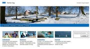 Bisher sind auf der Webseite Informationen auf Deutsch und Englisch verfügbar. (Bild: Screenshot zug.ch)