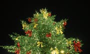 Bald ist auch der Weihnachtsbaum in den Zuger Wohnzimmern geschmückt. (Bild: Stefan Kaiser (Zug, 19. Dezember 2017))
