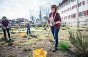 Claudia Hummel bringt den Klostergarten in Sursee auf Vordermann. (Bild: Roger Grütter (23. März 2017))