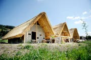 Die Pfahlbausiedlung in Wauwil. (Bild: Pius Amrein / Neue LZ)