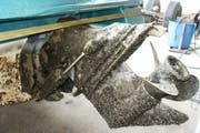 Wandermuschelbefall an einer Schraube eines Boots im Zürichsee. (Bild: EAWAG)