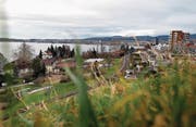 Nun muss sich das Verwaltungsgericht mit dem Salesianum befassen. (Bild: Stefan Kaiesr (Zug, 5. Januar 2018))
