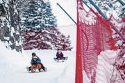 Riesenspass mit Risiko: Schlittler auf der Melchsee-Frutt. (Bild: Philipp Schmidli (Kerns, 20. Januar 2018))