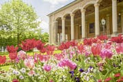 Baden-Baden hat alles, was Kultur-, Wellness- und Spielfreunde begeistert.