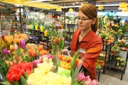 Cornelia Bühler sortiert in der Schweizerhof Migros in Luzern Blumen. (Bild Philipp Schmidli/Neue LZ)