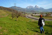 Eine der Wiesen, die die Stiftung Lauerzersee gekauft hat. (Bild: Erhard Gick/Neue SZ)
