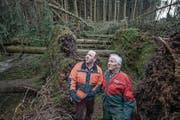 Die Landwirte Guido (39) und Jakob Oehen (75) in ihrem Wald. (Bild: Pius Amrein (Hohenrain, 8. Januar 2018))