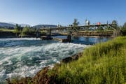 Blick auf das Wasserkraftwerk in Perlen, das von der Papierfabrik betrieben wird. Eine Restwassersanierung steht hier bevor. (Bild: Philipp Schmidli (18. Juni 2017))