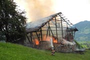 Die Flammen zerstören den Stall. (Bild: Kantonspolizei Schwyz)