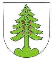 Das Original: Das Walchwiler Wappen zeigt eine sattgrüne Tanne, die auf einem Dreiberg steht und sechs rote Tannzapfen trägt. Der Hintergrund ist in Weiss gehalten. (Bild: Grafik: Angelo Gwerder)