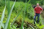 «Der Bauer bewegt sich weg vom Produzenten hin zum Landschaftspfleger.» Jakob Lütolf, Präsident der Luzerner Bauern. (Bild: Eveline Beerkicherv / Neue LZ)