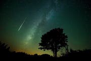 Eine Sternschnuppe des Perseiden-Stroms am 13. August 2015 um 1.34 Uhr, fotografiert auf dem Bramboden bei Romoos. (Bild Dominik Wunderli)