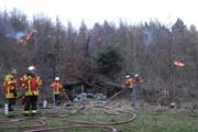 Diese Feuerstelle wurde nicht fachmännisch gelöscht. Der starke Wind hat Glut in den Wald geblasen - und einen Waldbrand entfacht. (Bild: Kapo Schwyz)