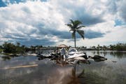 Zerstörung nach dem Hurrikan Irma in Florida. Der Sturm kostet Versicherer bis zu 50 Milliarden Dollar. (Bild: Nicole Raucheisen/AP (Bonita Springs, 13. September 2017))
