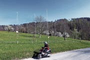 Die Bauprofile oberhalb der Blasenbergstrasse veranschaulichen die Dimensionen der drei geplanten Häuser. (Bild: Werner Schelbert (7. April 2017))