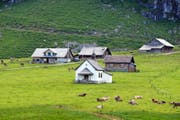 Idylle pur rund um die Kapelle auf der Älggialp, dem Mittelpunkt der Schweiz. (Bild Markus von Rotz)