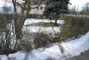 In St. Erhard durchschlug das Unfallauto die Hecke und ist erst im Vorgarten zum Stillstand gekommen. (Bild Luzerner Polizei)