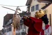 Gansabhauet in Sursse: Zwei Gänse und insgesamt 17 Gansschläger hatten Ihren Auftritt. (Bild: KEYSTONE/Alexandra Wey)