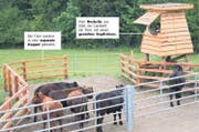 Biobauer Nils Müller aus Küsnacht ZH ist schweizweit bislang der einzige Landwirt, der seine Tiere auf eigenem Terrain töten darf. (Bild: Keystone/Forschungsstelle für biologischen Landbau (Fibl)/Gabriela Müller)