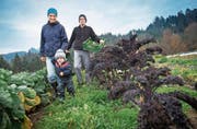 Claudia Meierhans und Markus Schwegler Meierhans mit Sohn Mael in ihrem Gemüsegarten. (Bild: Boris Bürgisser (Richenthal, 10. November 2017))