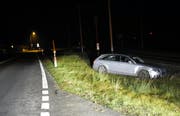 Der 25-Jährige kam in der Wiese zum Stillstand. Er war alkoholisiert hinter dem Steuer unterwegs. (Bild: Kantonspolizei Schwyz)