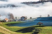 Die Zahl der Landwirte, die in der Schweiz einen Hof suchen, ist viel höher als das Angebot. (Bild: Patrick B. Krämer/Keystone)