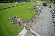 Blick auf den Flugplatz Beromünster; hier während der «Flügerchilbi» im vergangenen Sommer. (Bild: Pius Amrein / Neue LZ)